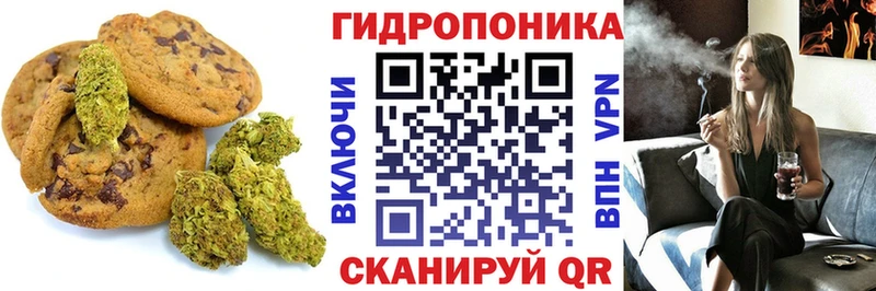 закладки  Михайловск  omg вход  Canna-Cookies конопля 
