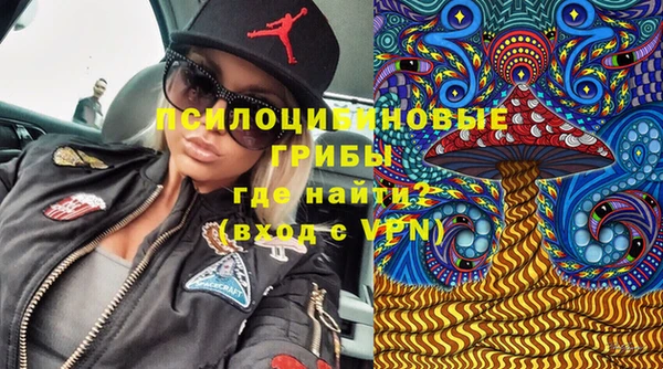PSILOCYBIN Алексин