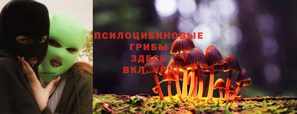 гашик Алексеевка