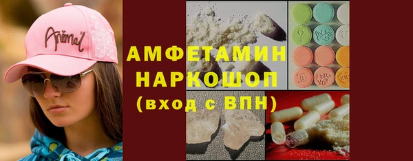 прущий лед Алзамай