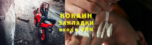 прущий лед Алзамай
