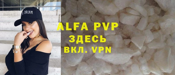 прущий лед Алзамай