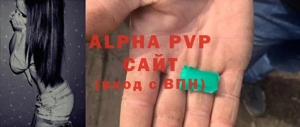 гашик Алексеевка