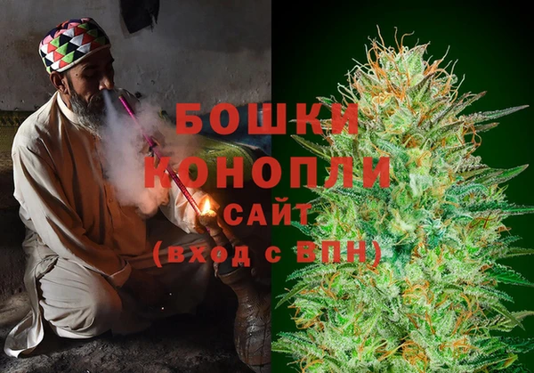 гашик Алексеевка