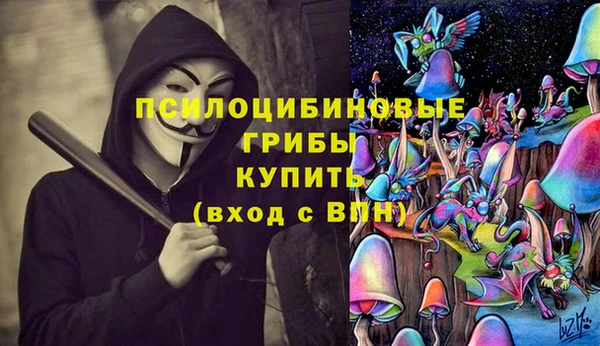 PSILOCYBIN Алексин