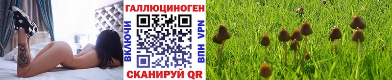 Галлюциногенные грибы прущие грибы  гидра   Михайловск 